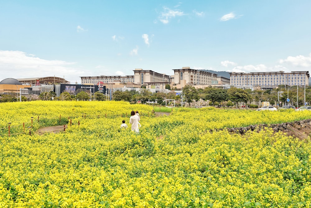Landing Jeju Shinhwa World Hotels and Resorts 67/68