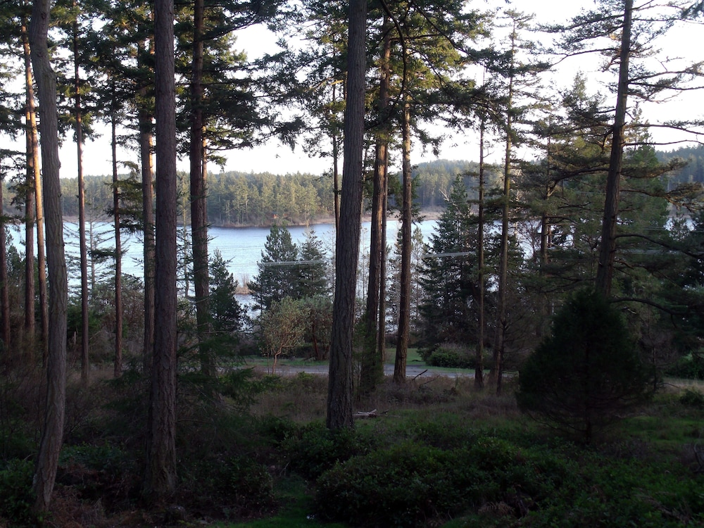 Inn to the Woods Bed and Breakfast 27/33