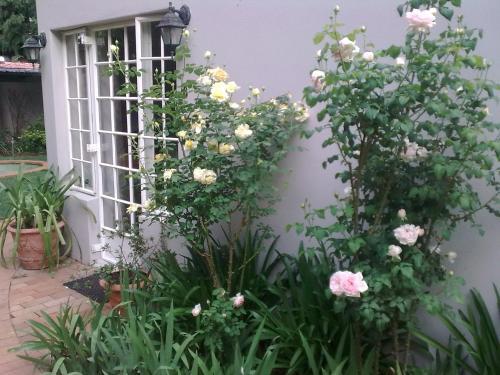 Rosebank Lodge by Claires 2/46