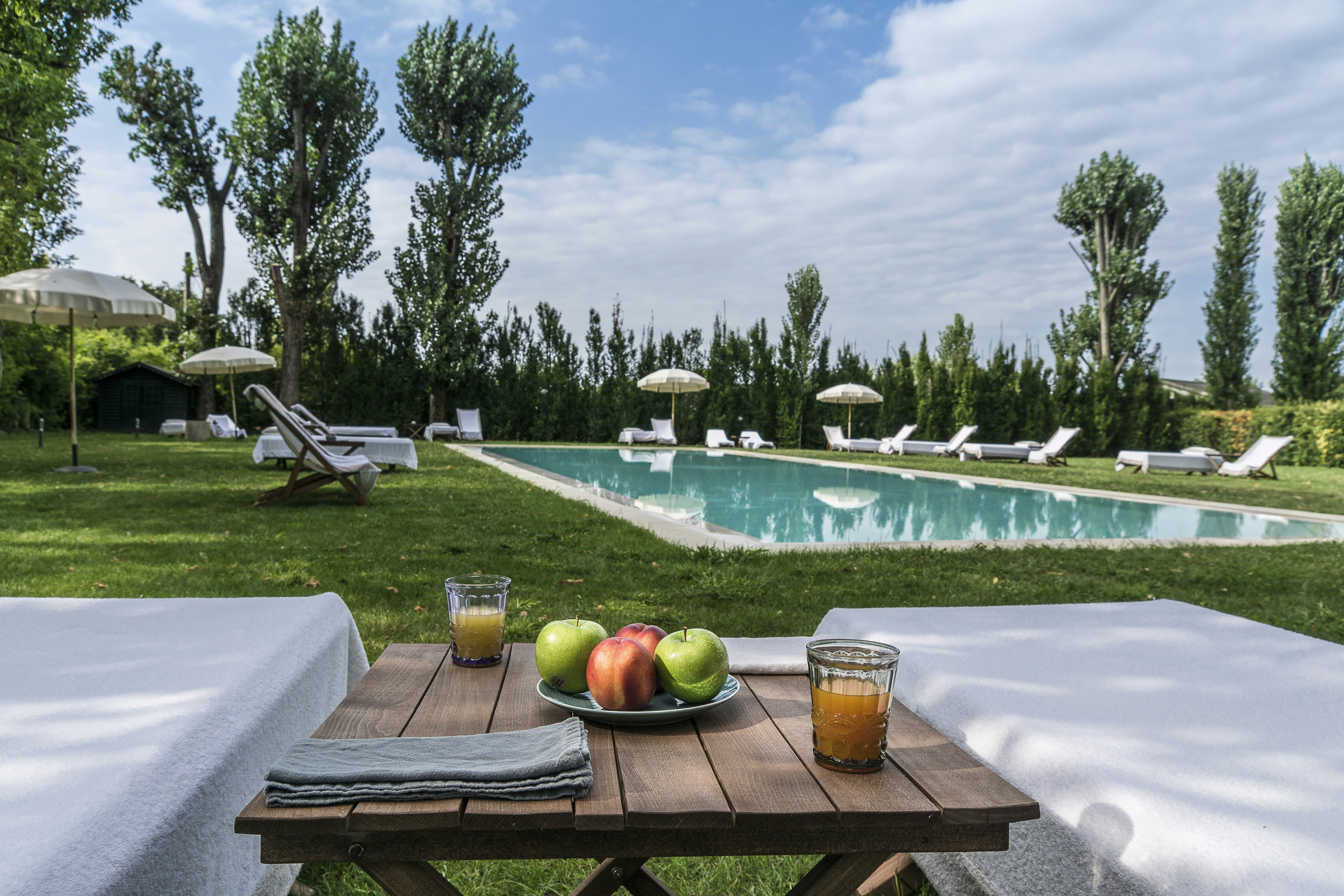 LA BARCHESSA DI VILLA PISANI 58/61