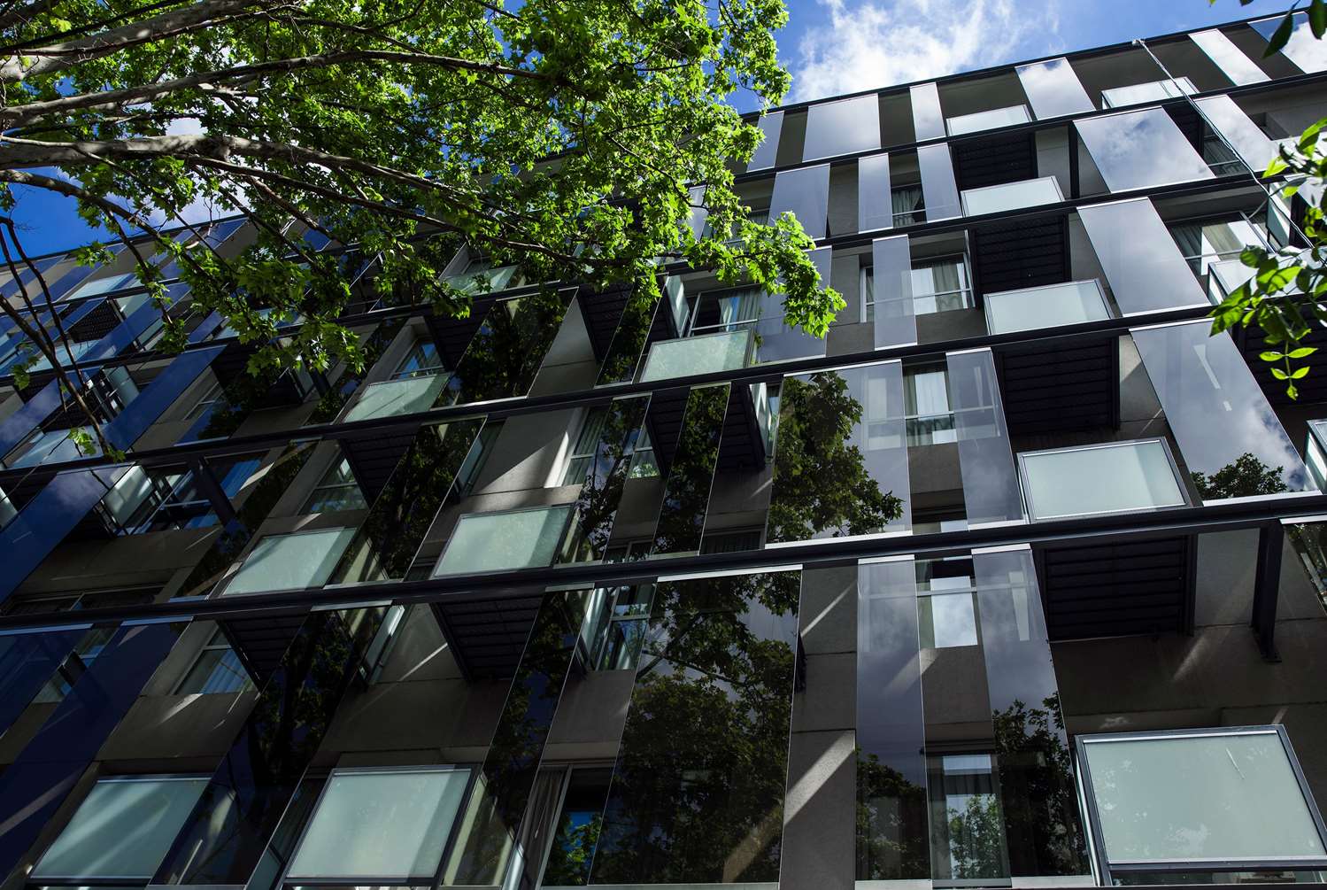 Dazzler by Wyndham Buenos Aires Palermo 6/62