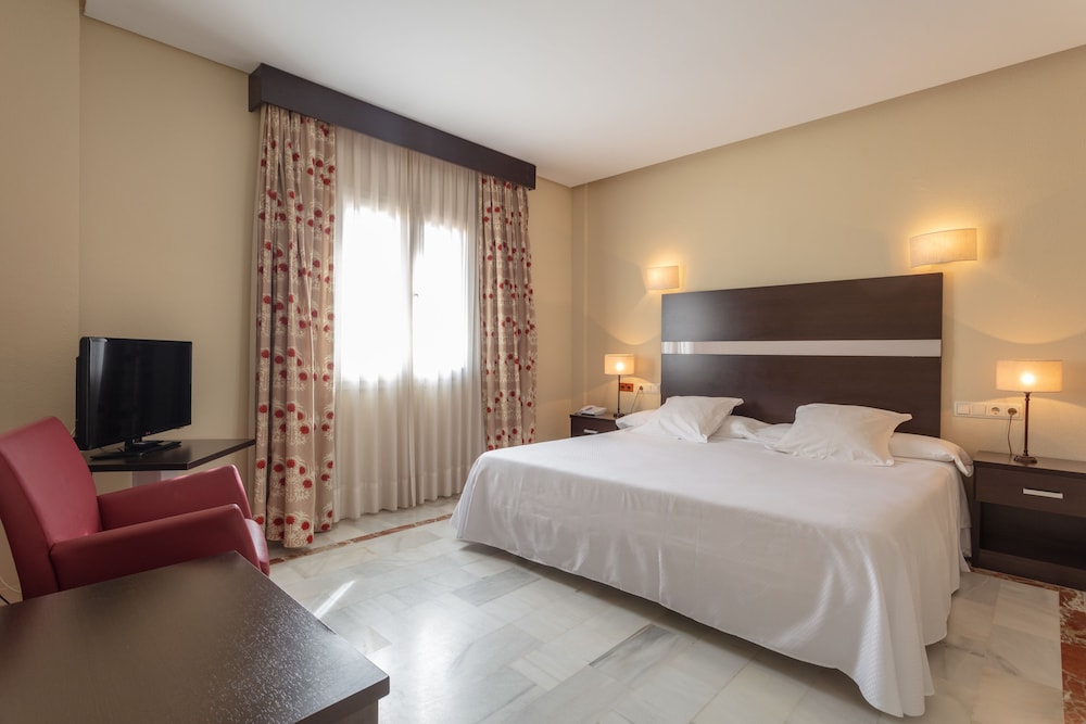 Hotel Abades Benacazon 27/61