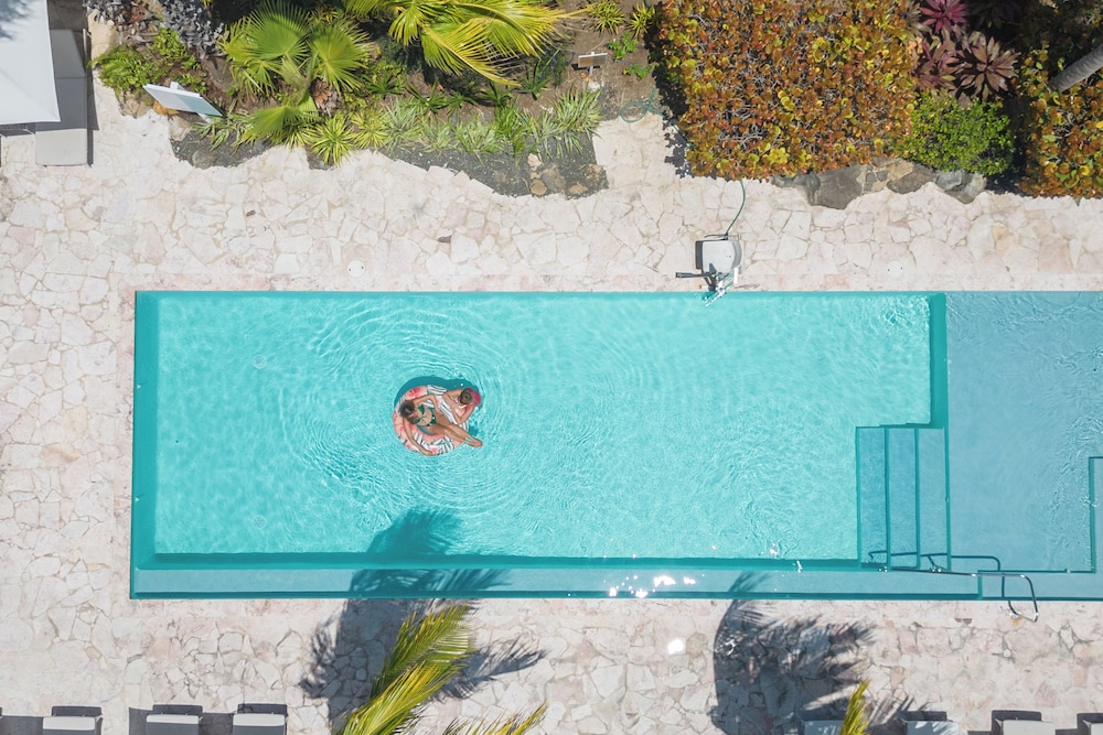 Dolphin Suites 26/50