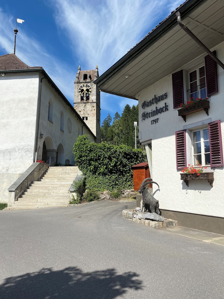 Historic Hotel Steinbock 34/50