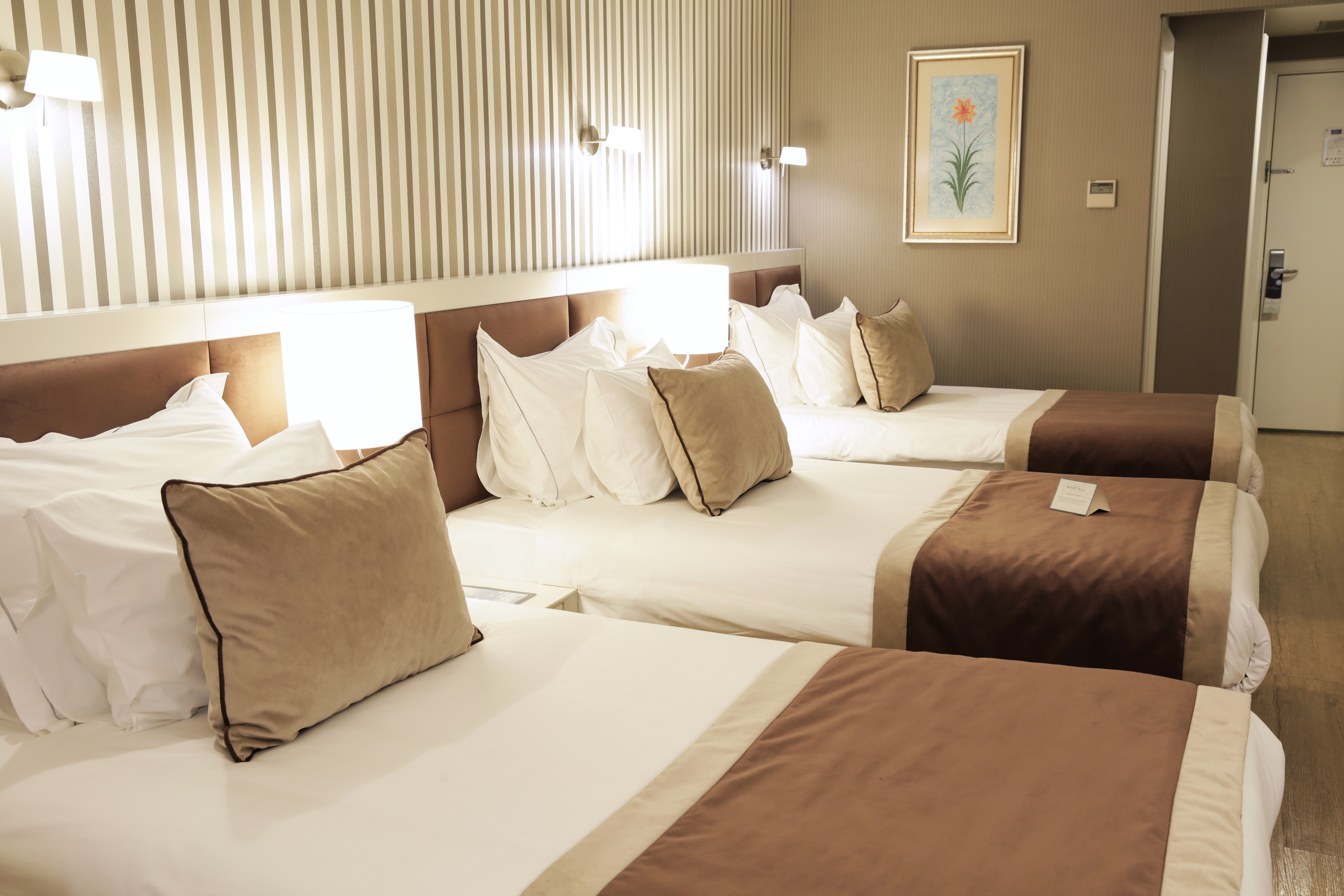 غرفة ثلاثية، Byotell Hotel Istanbul 3/10