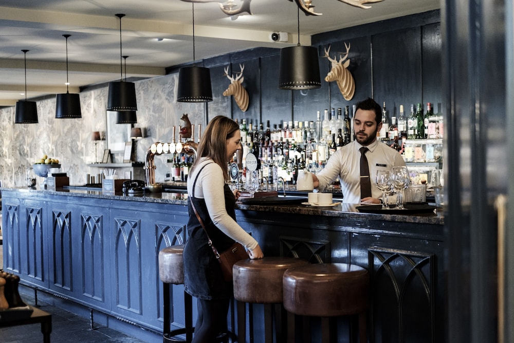 The Swan 6/49