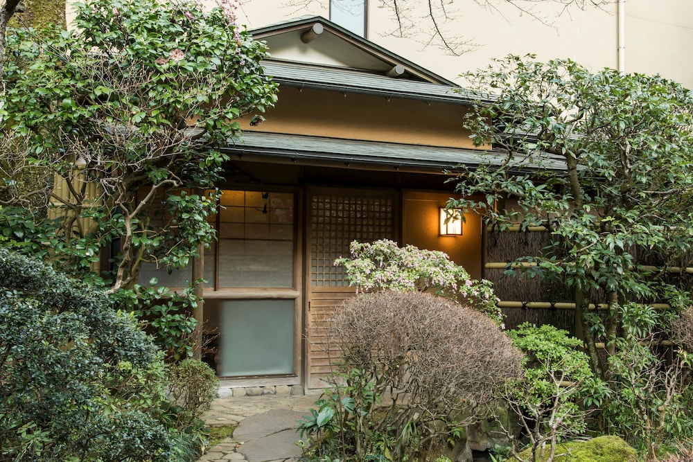 Yamagaso 2/50