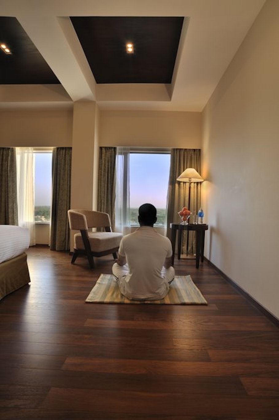 Grand Mercure Vadodara Surya Palace 11/35