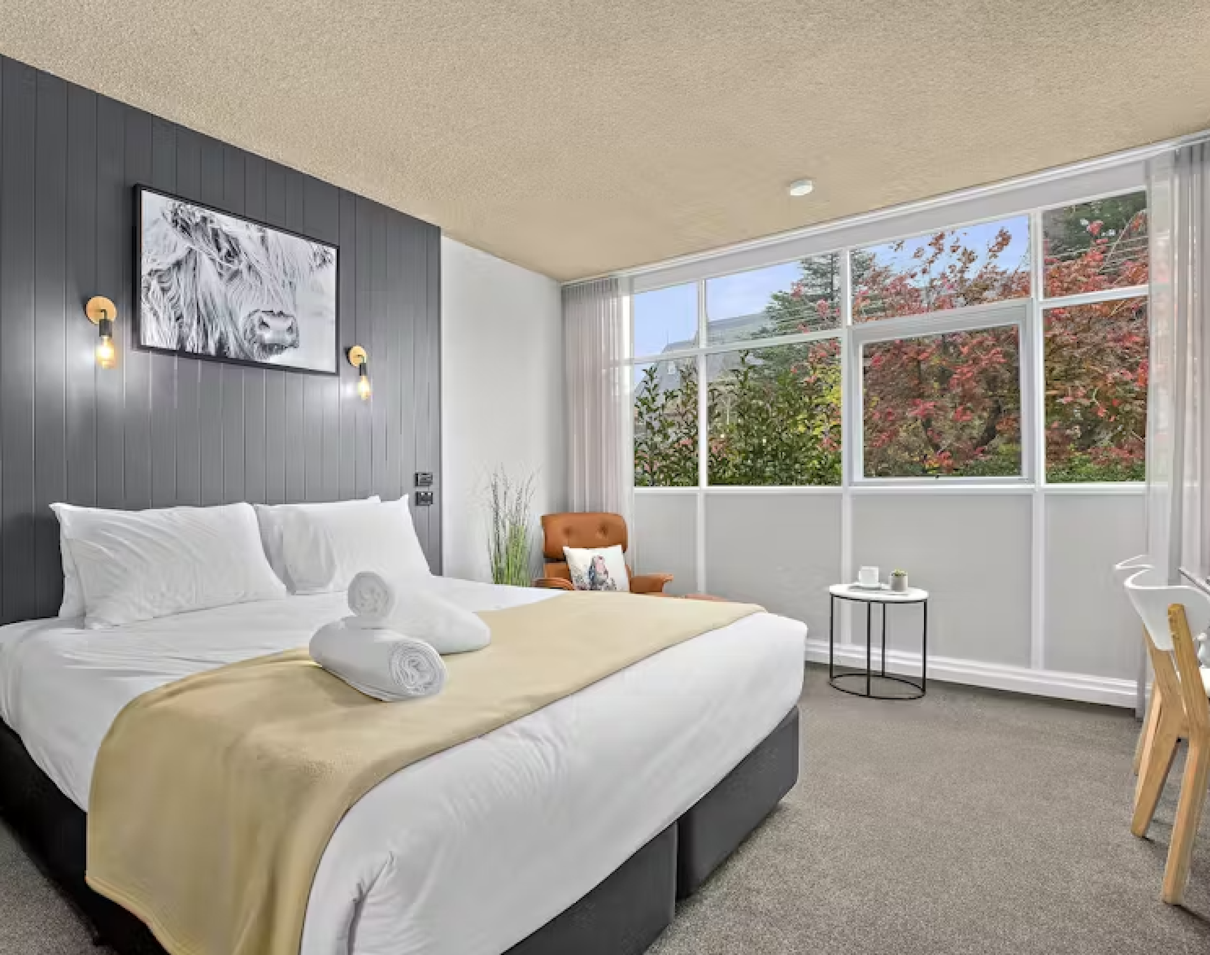 Superior, King Bed