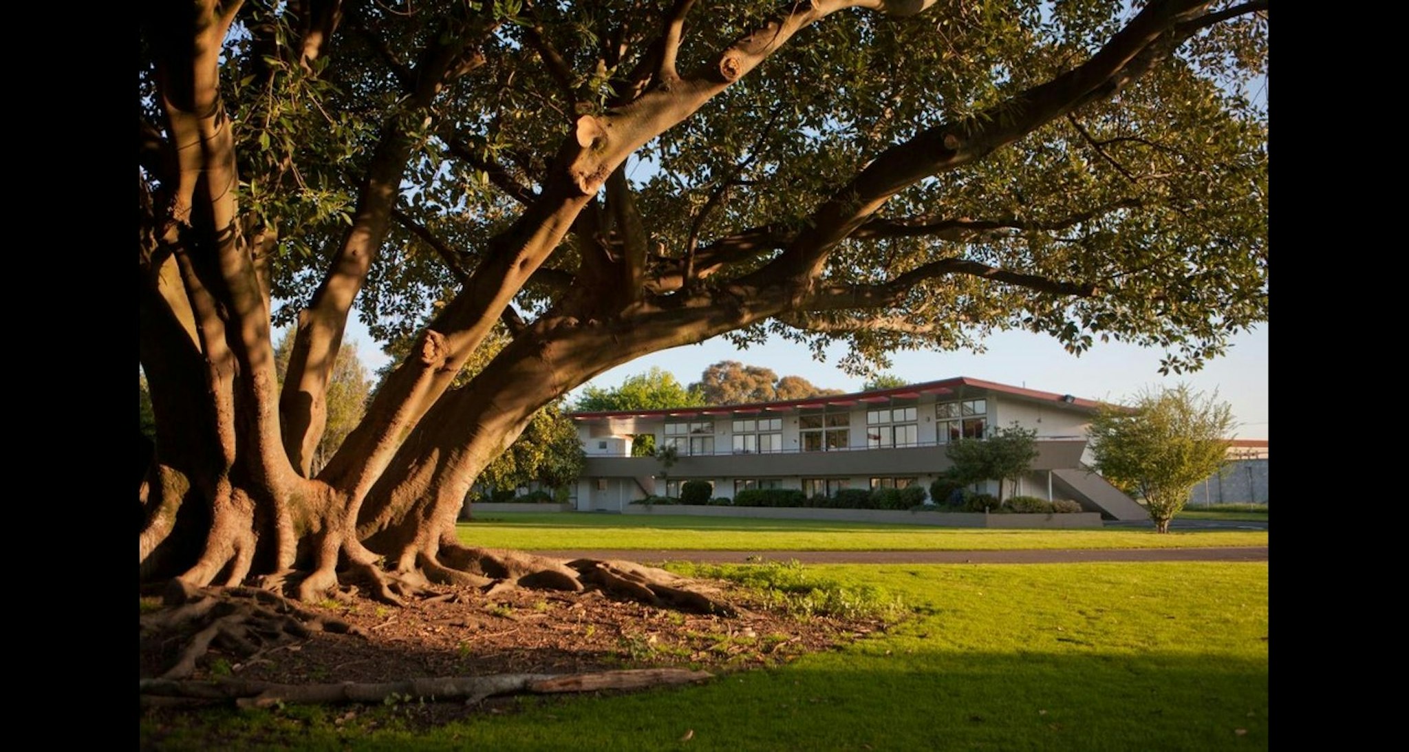Kennedy Park Resort Napier 90/96