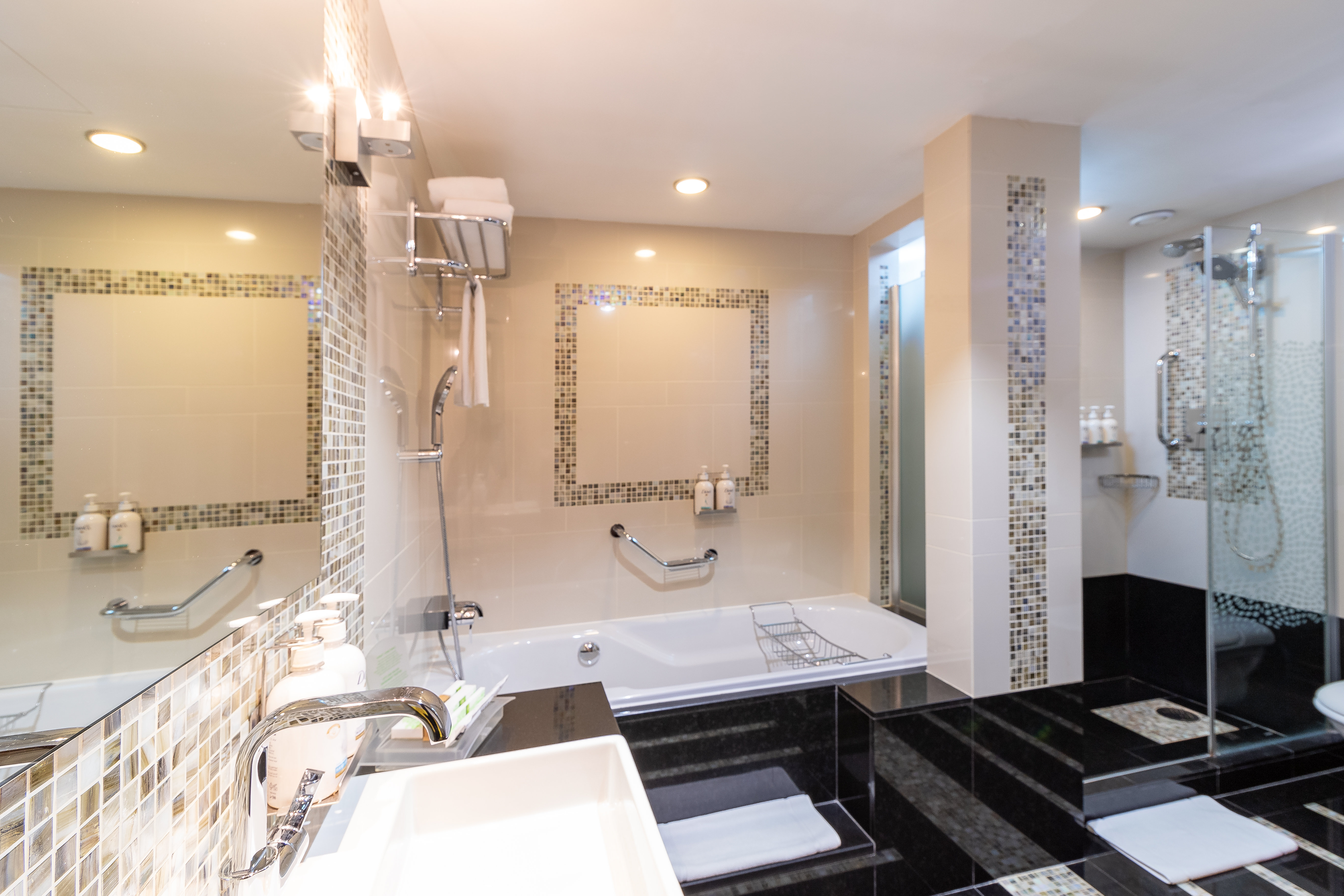 جناح بسرير كينج بغرفة نوم واحدة