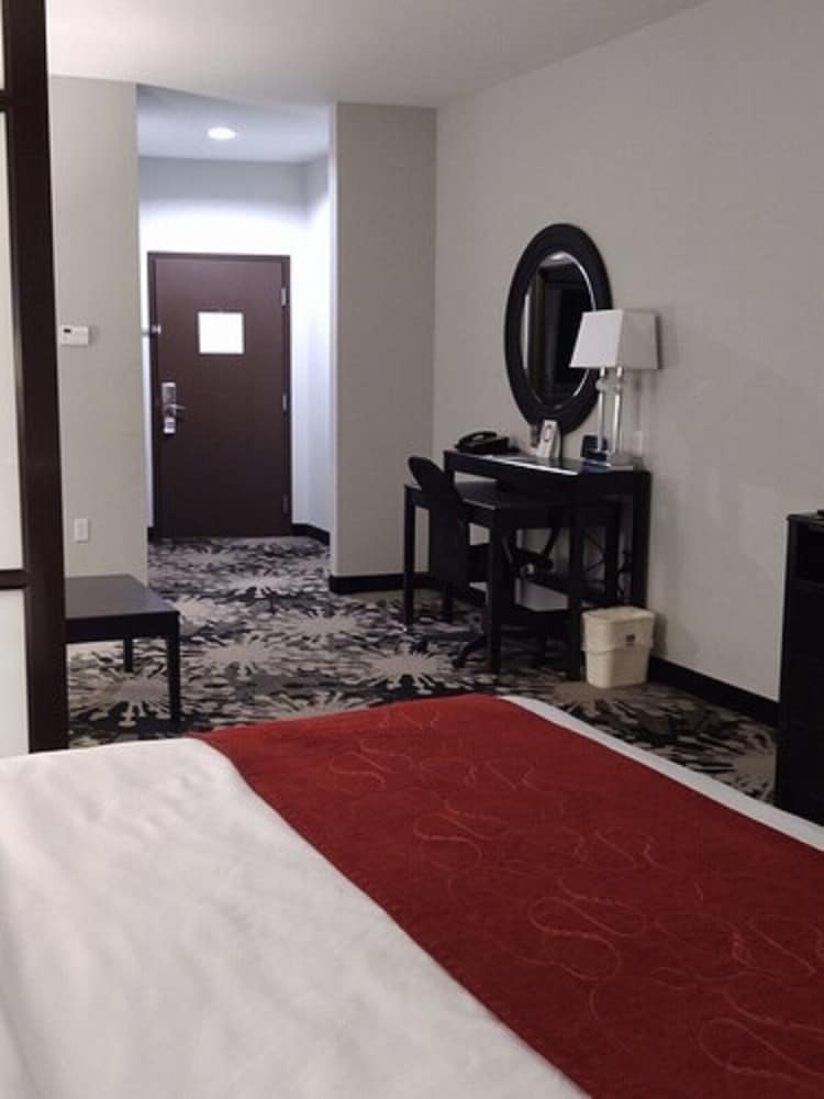 Comfort Suites Greenville 17/42