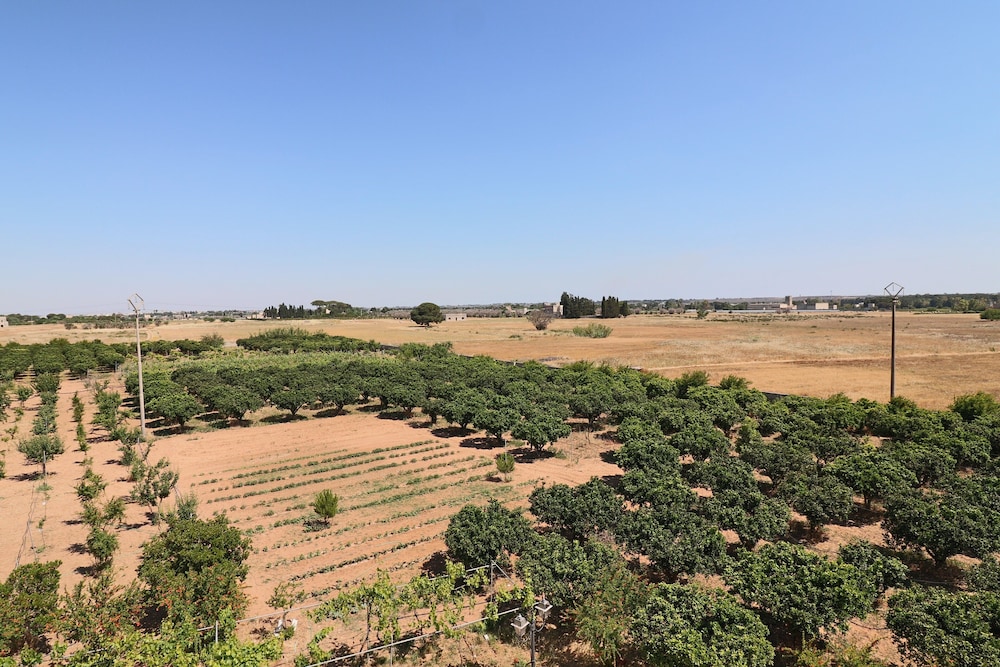 Tenuta Gli Agrumi Del Salento 49/50