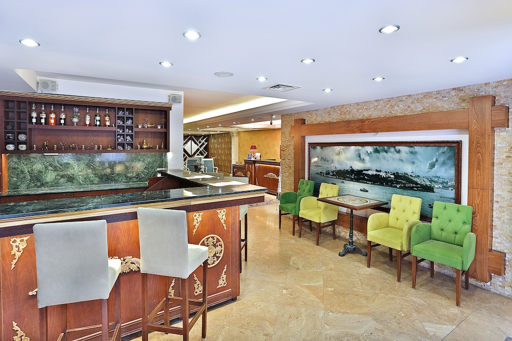 THE ISTANBUL HOTEL 36/50