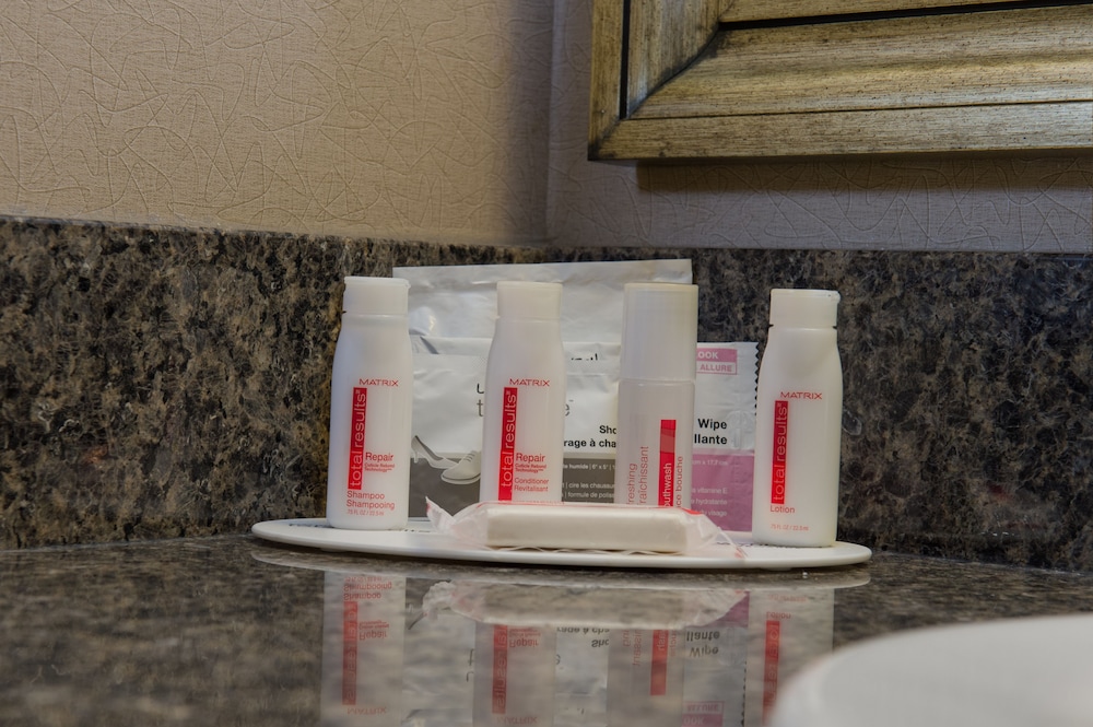 Ramada By Wyndham Kamloops 28/47