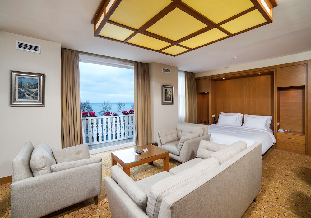Radisson Hotel Istanbul Sultanahmet 22/50