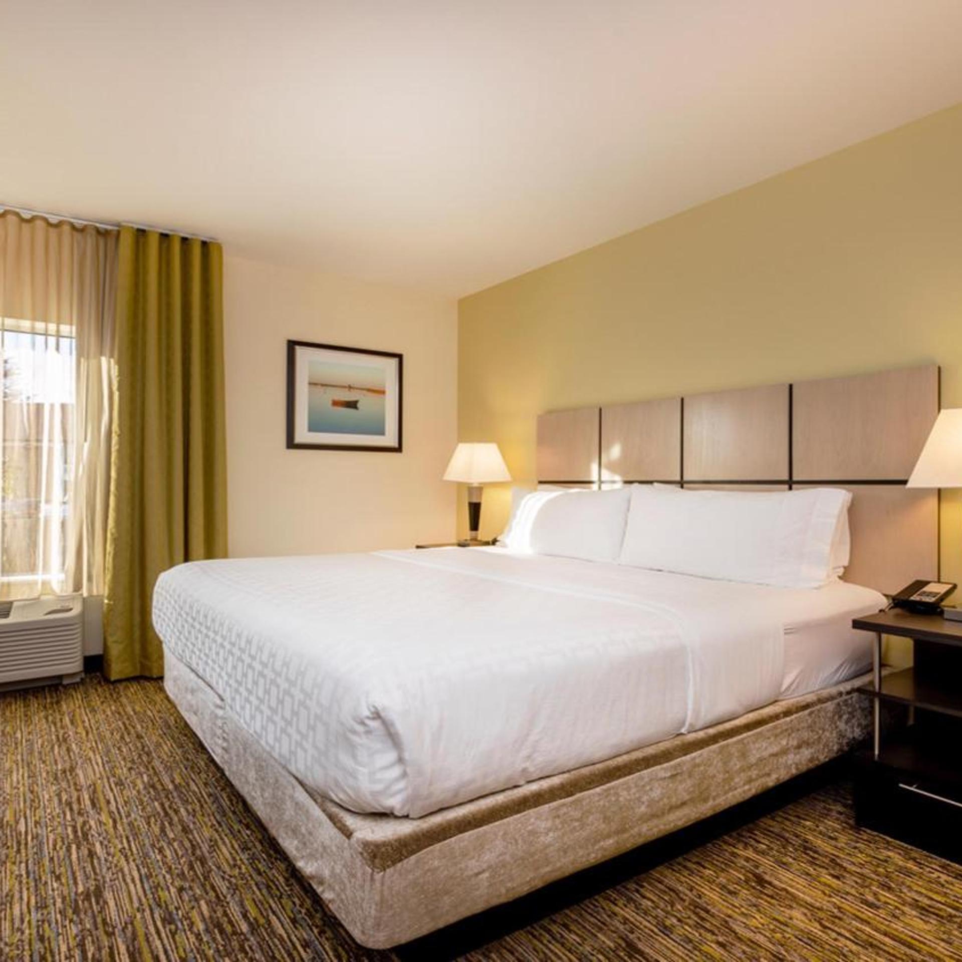 Studio, King Bed, CANDLEWOOD SUITES DUMFRIES - QUANTICO 2/10