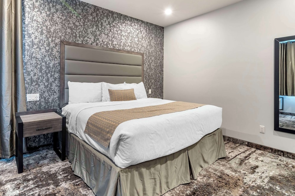 Efficiency, Suite, King Bed, Sofa