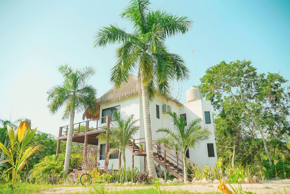 Royal Palm Bacalar 11/73