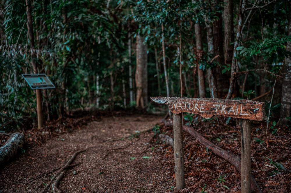 NARROWS ESCAPE RAINFOREST RETREAT 43/50
