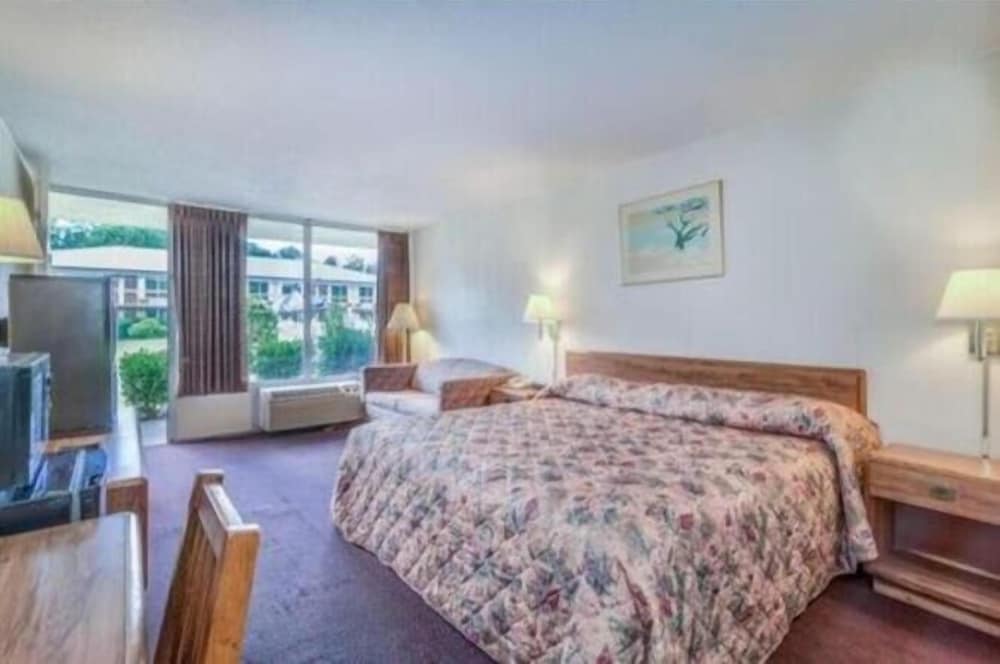 Guest Inn 11/34