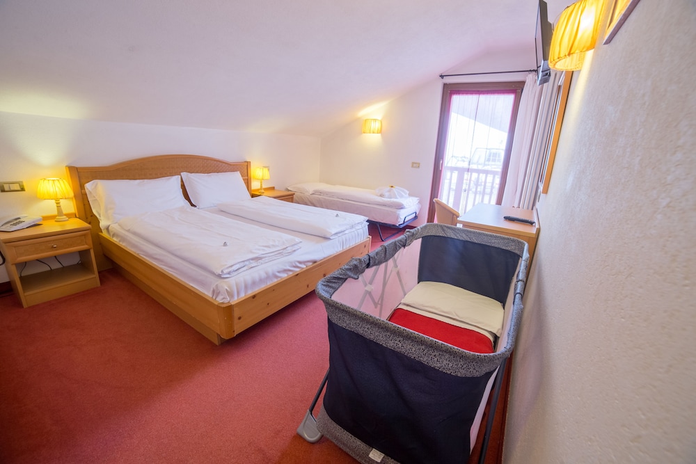 Hotel Grizzly 17/50