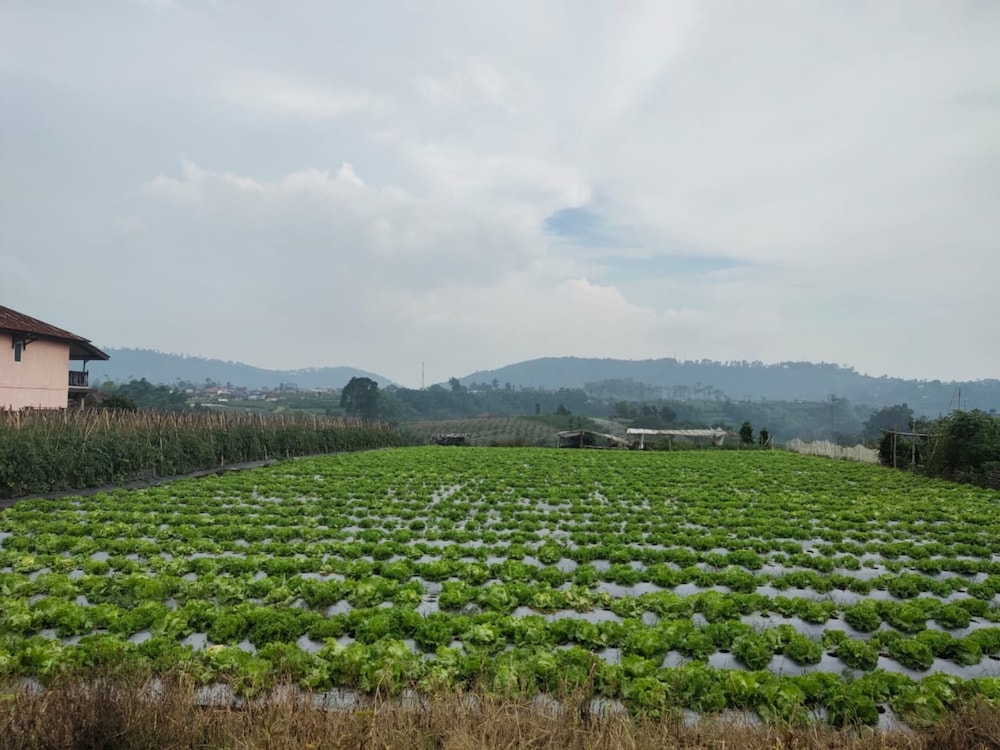 Villa Lembang Bunda 12/18