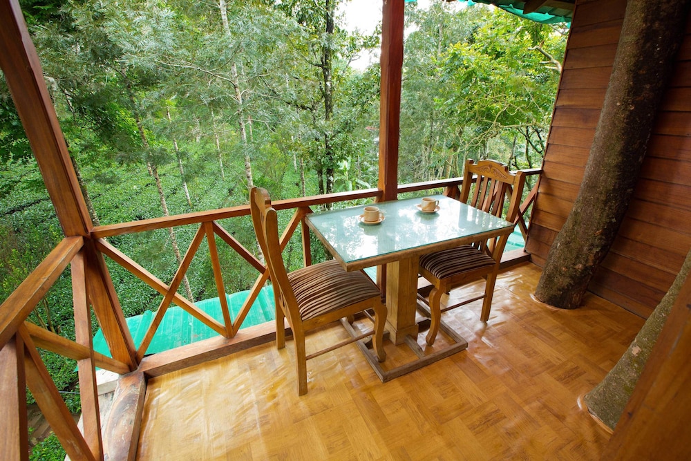 Dream Catcher Plantation Resort 16/50