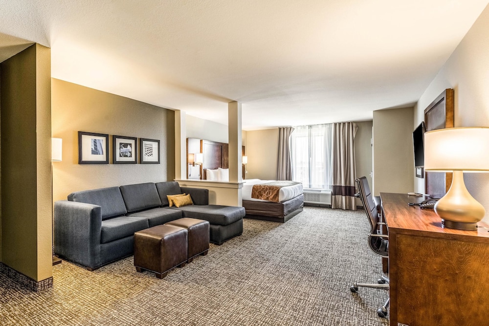 Comfort Suites Channelview - Houston East 27/41