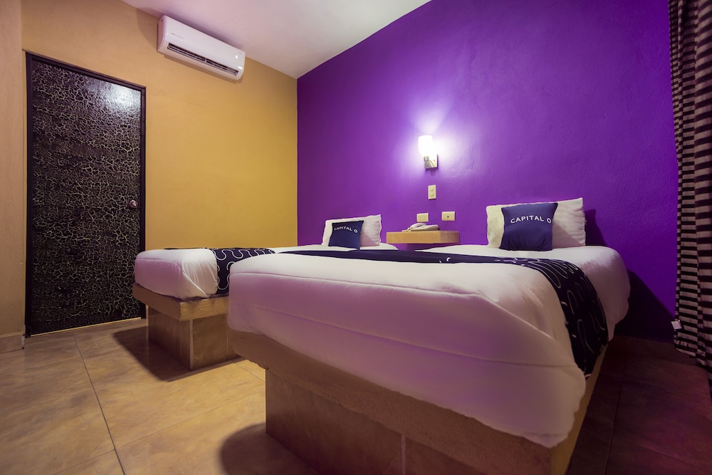 Hotel La Silla 20/50