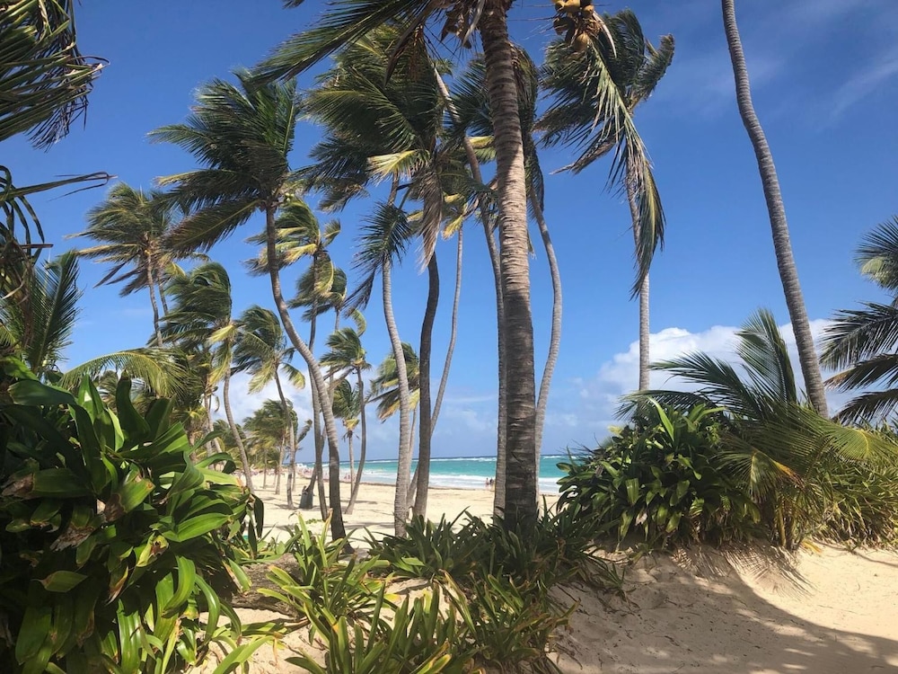 HOTEL ART VILLA DOMINICANA 40/44