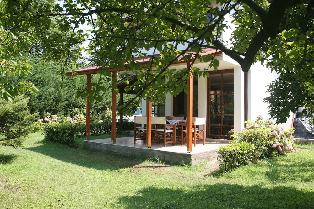 Beta Home Lake House 44/50