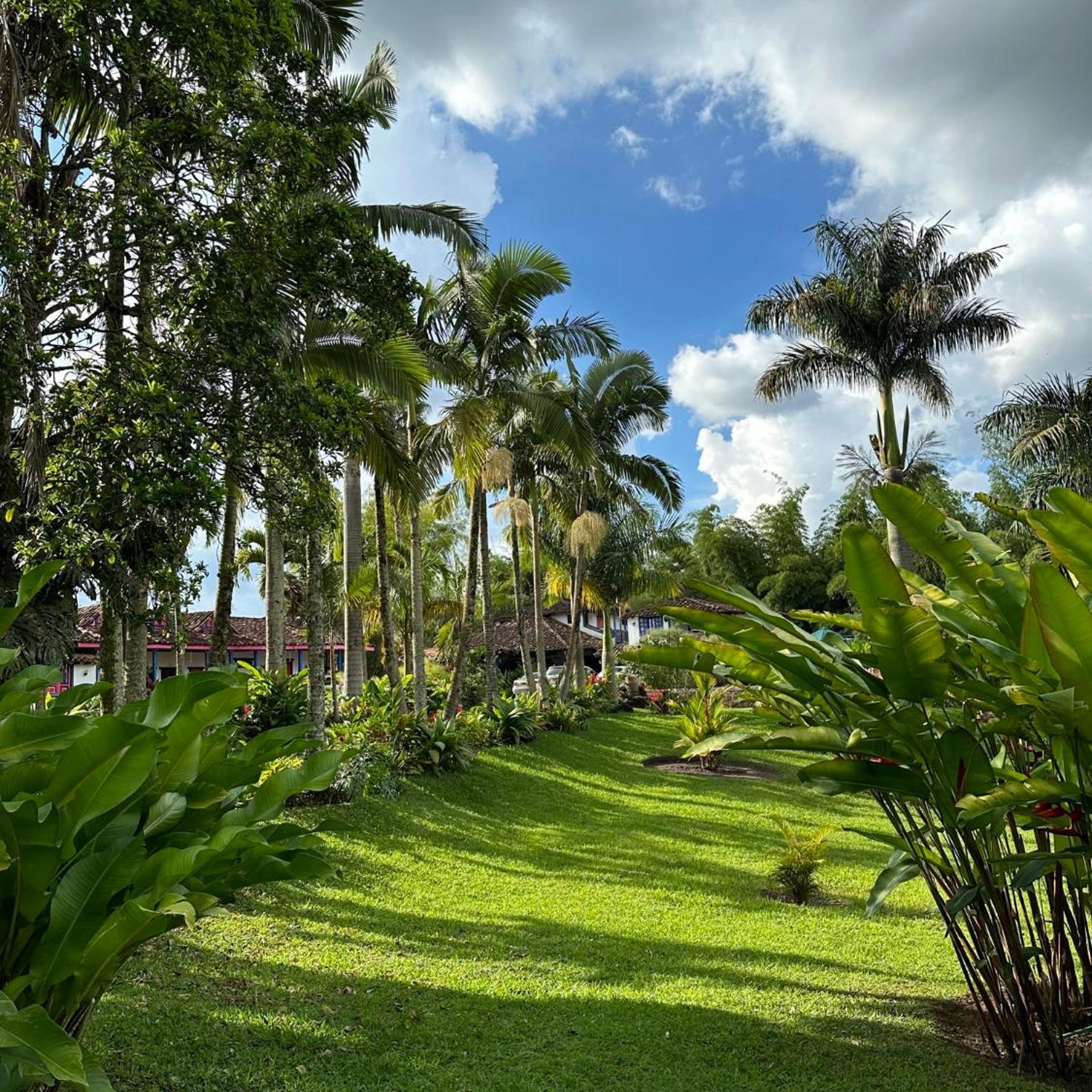 El Percal Hacienda Hotel 35/50
