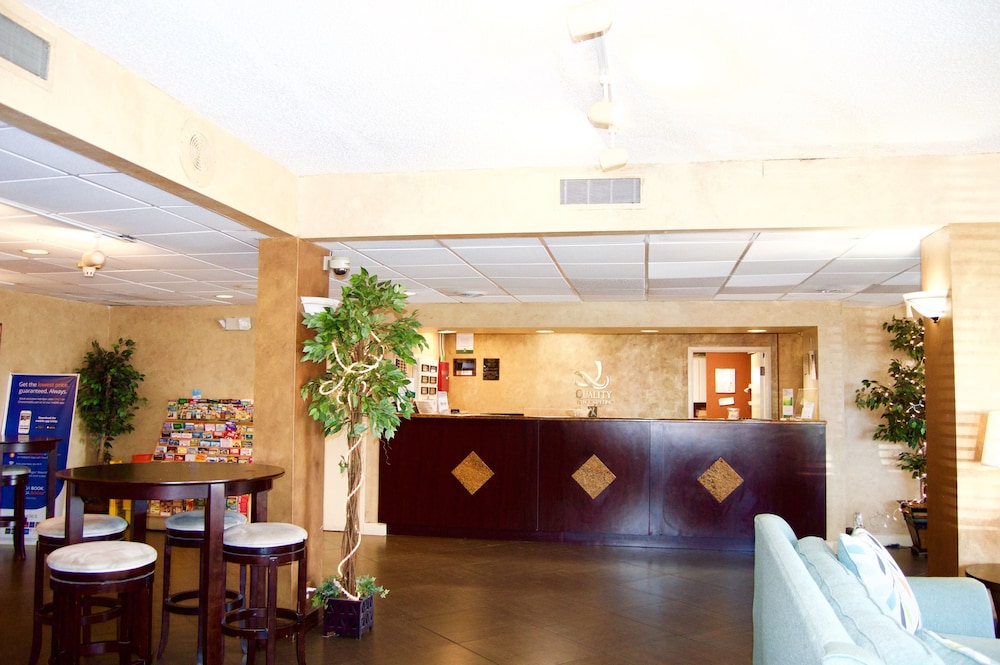 SureStay Hotel by Best Western St. Pete Clearwater Airport 16/43