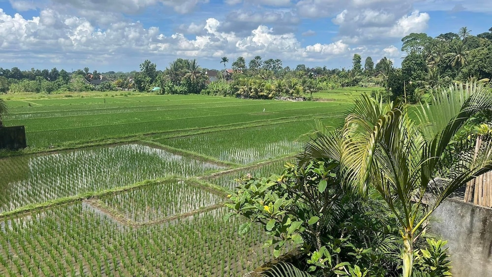 Heaven Villa Ubud 24/50