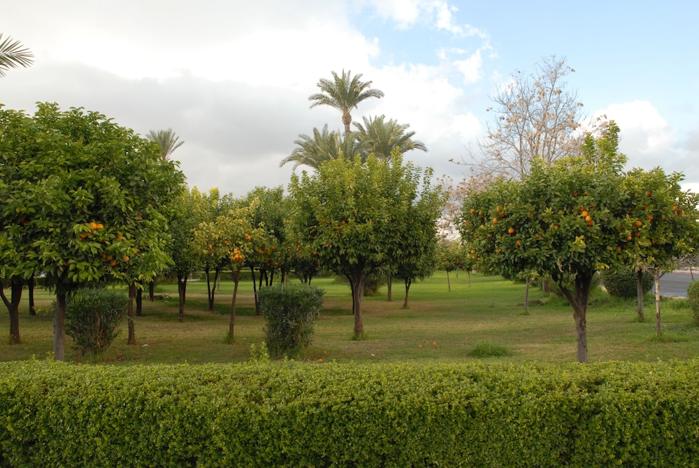 Riad Al Jana 40/50