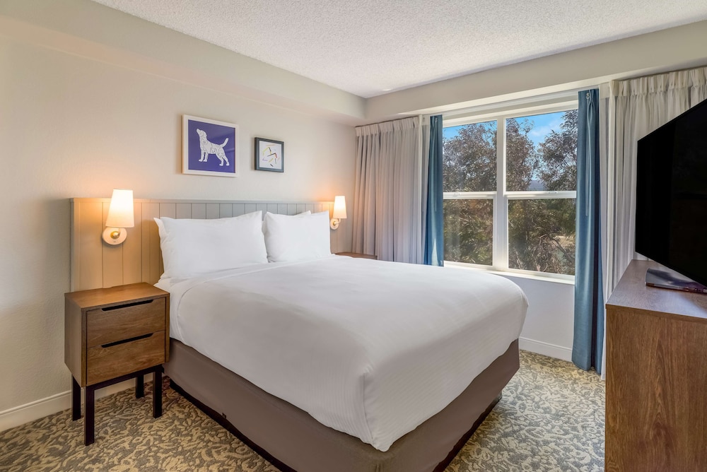 2 Bedrooms, Superior, Suite, 2 Queen Beds, Sofa