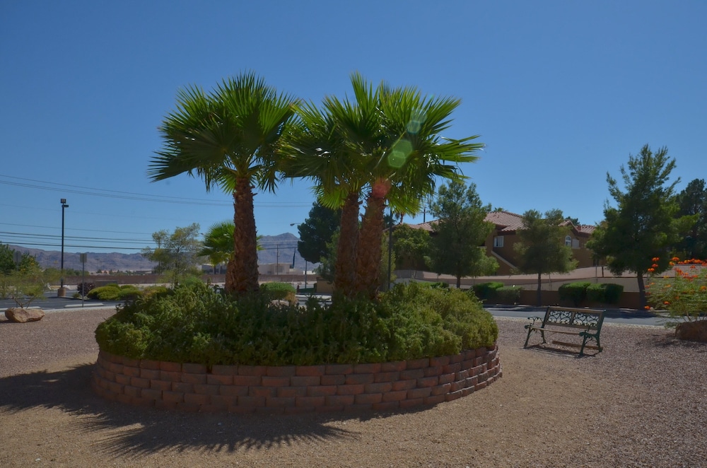 Holiday Inn Express Las Vegas-Nellis, an IHG Hotel 15/47