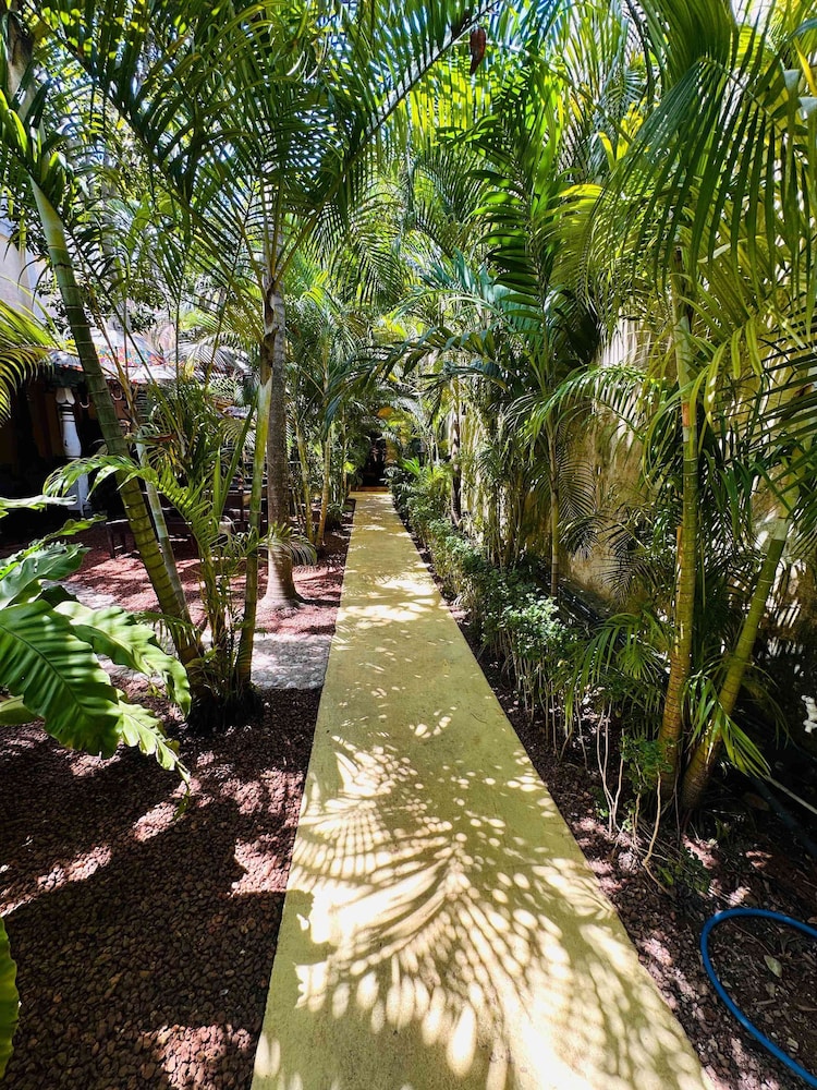 Mango House 67/71