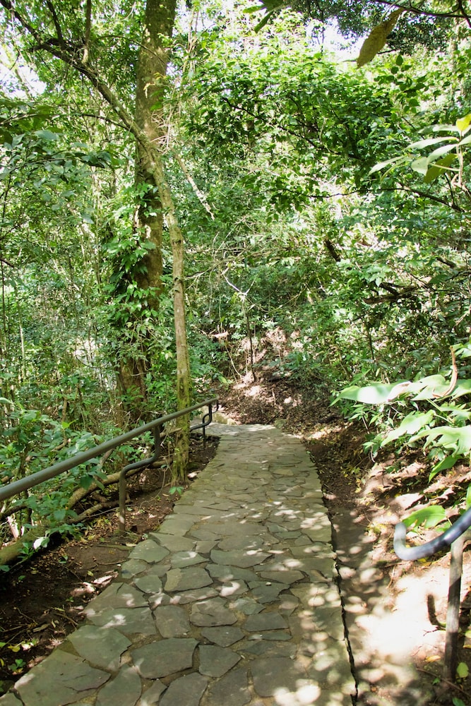 Monteverde Luxury Hotel 37/67