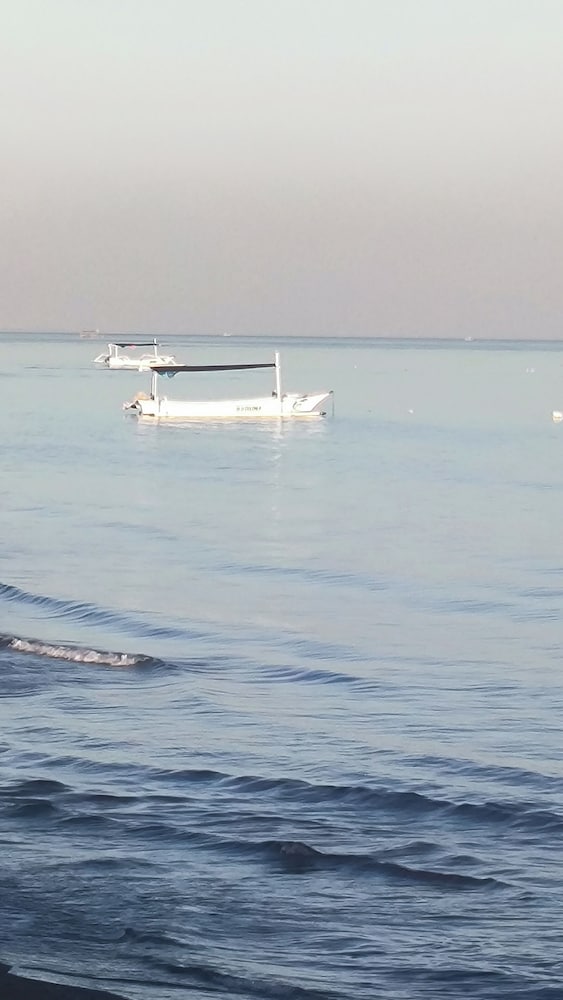 Lovina Haven Boutique Resort 36/50