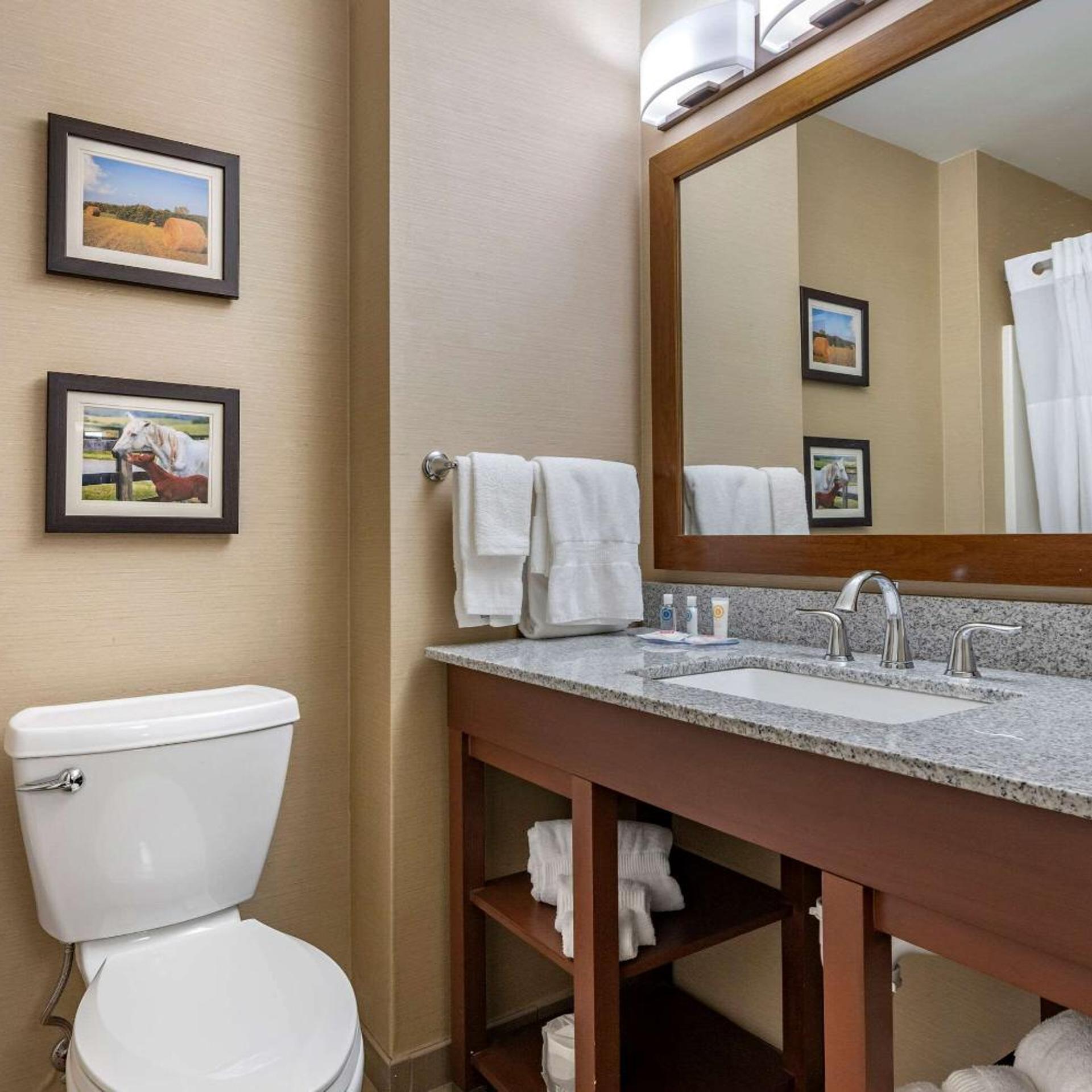 جناح بسرير كينج مع أريكة، Comfort Inn & Suites Northern Kentucky 5/5