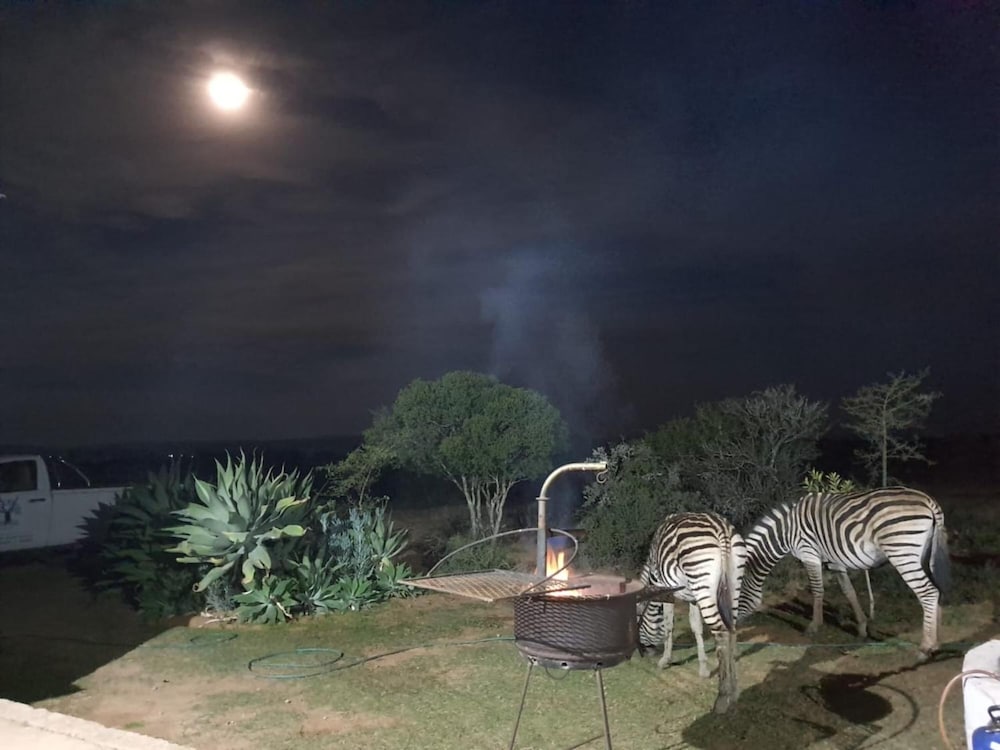 Kudu Ridge Game Lodge 32/41