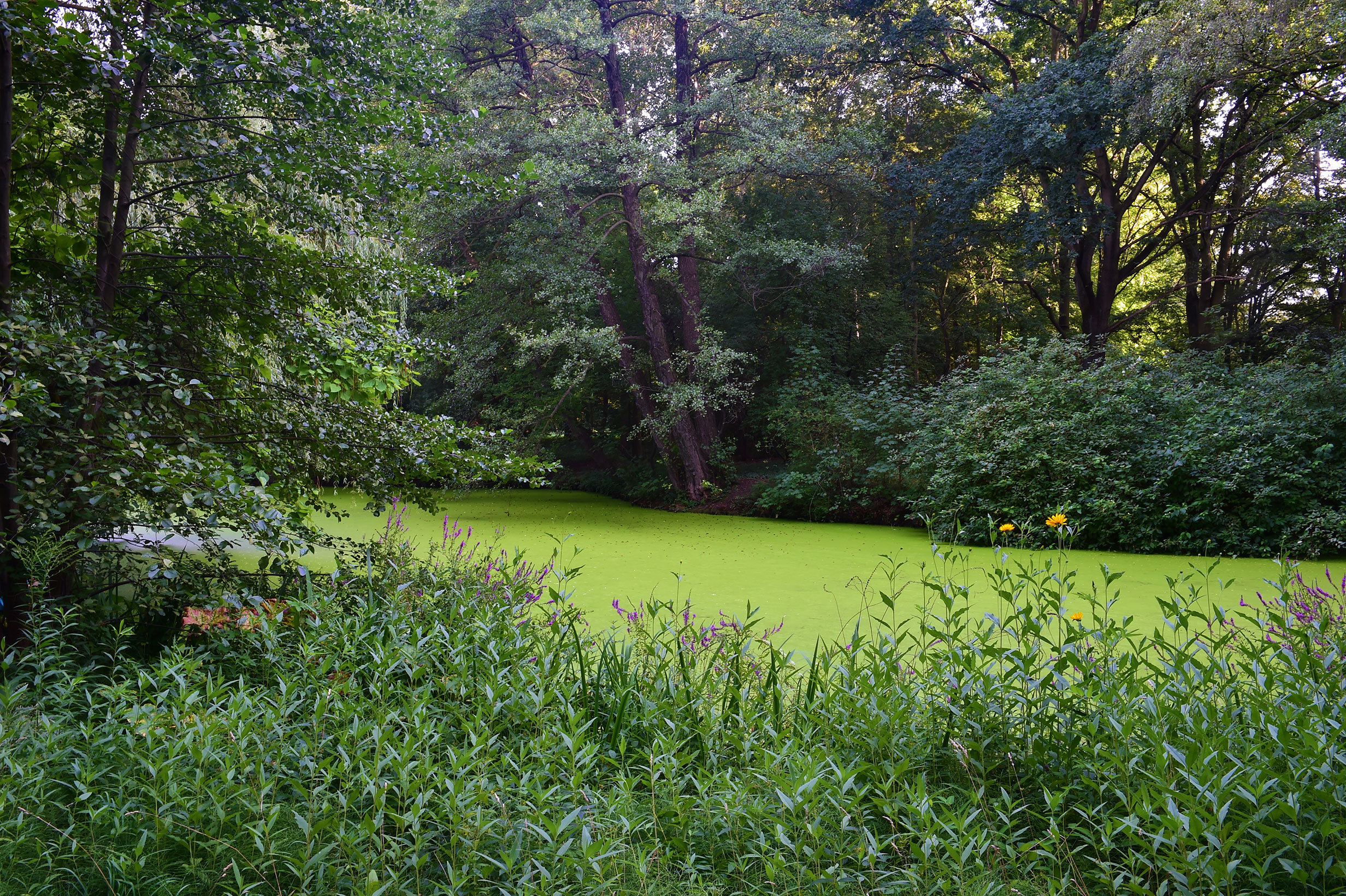 Pestana Berlin Tiergarten 81/85