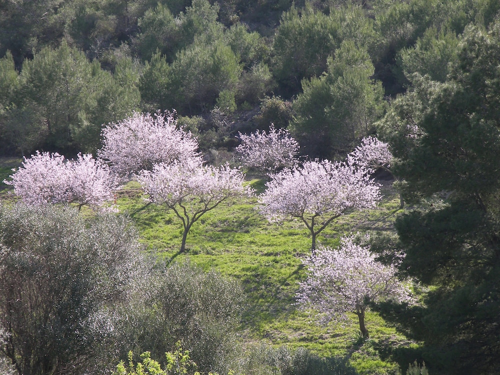 Agroturisme Es Picot 35/50