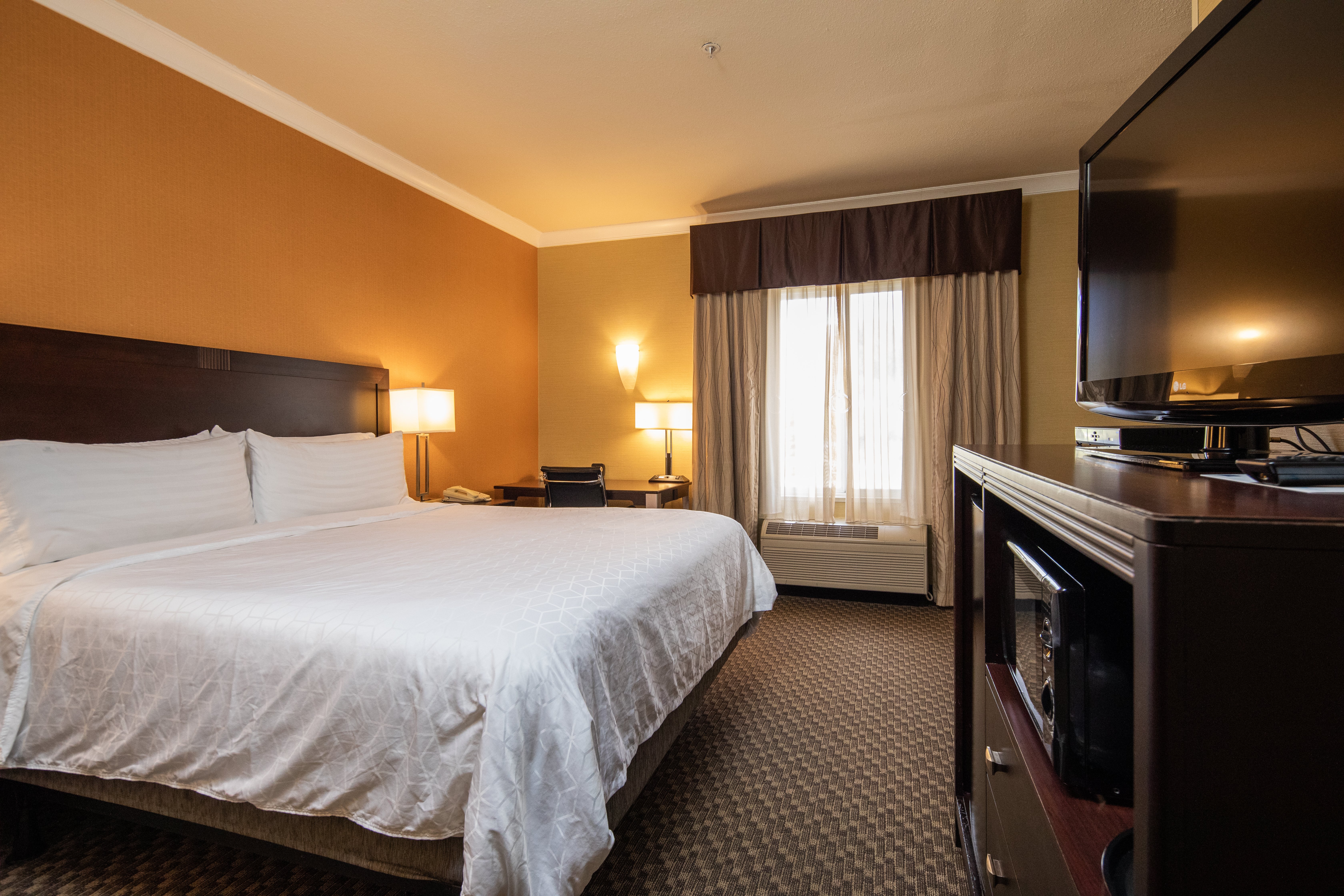 Holiday Inn Express Castro Valley 21/71