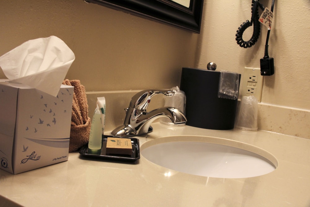 Grand View Inn and Suites photo3