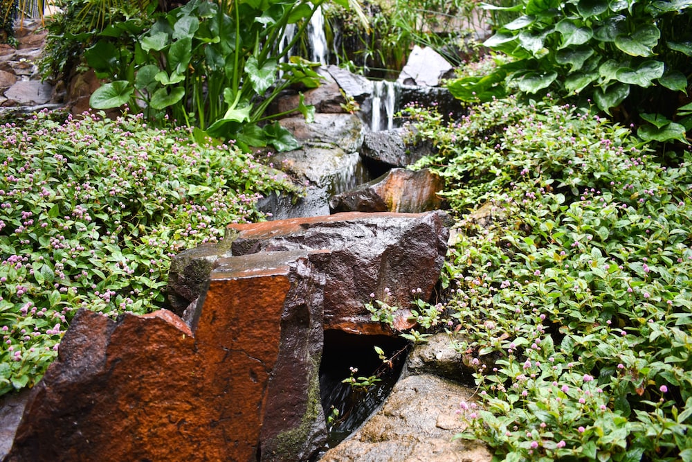 Waterfalls Boutique Hotel 40/50