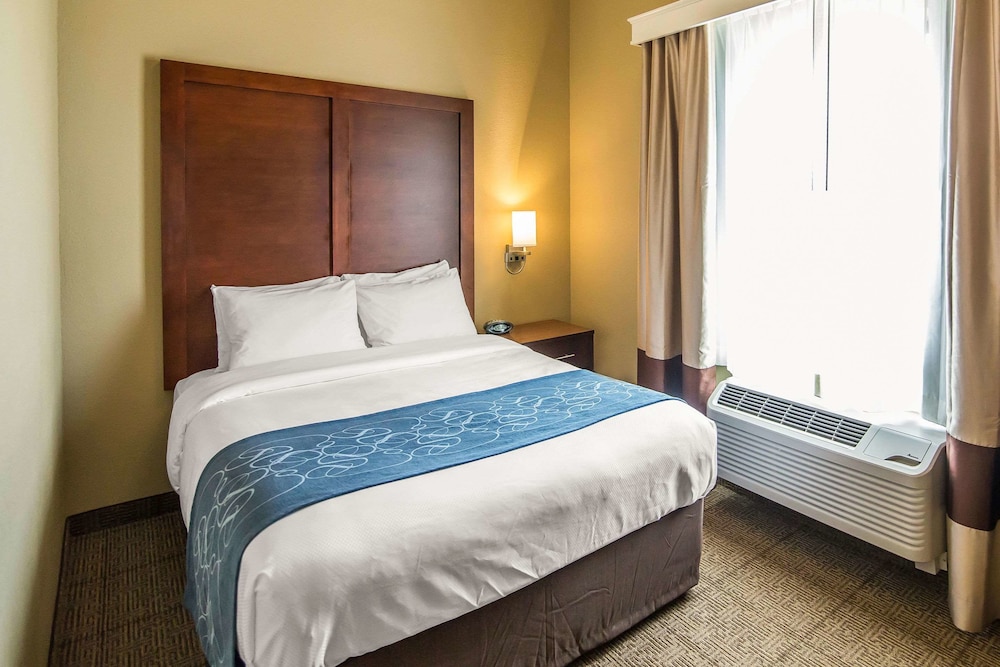 Comfort Suites Dodge City, KS 15/39
