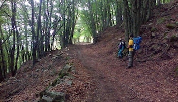 Paradiso Delle Madonie 27/56